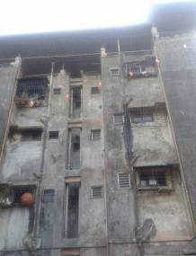 Images for Elevation of Reputed Asmita Apartment Images for Elevation of Reputed Asmita Apartment