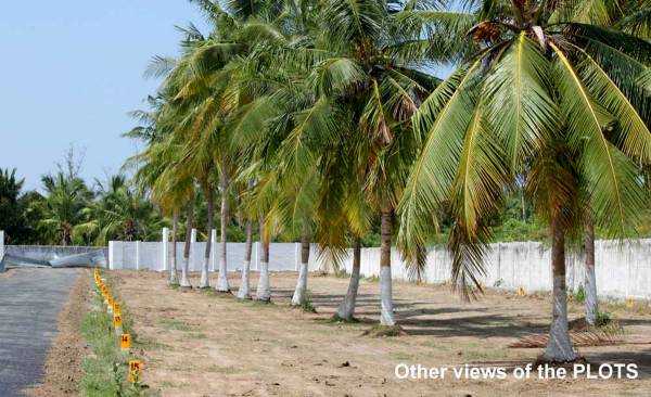 Images for Main Other of Green Peace Luxury Homes Panorama Park