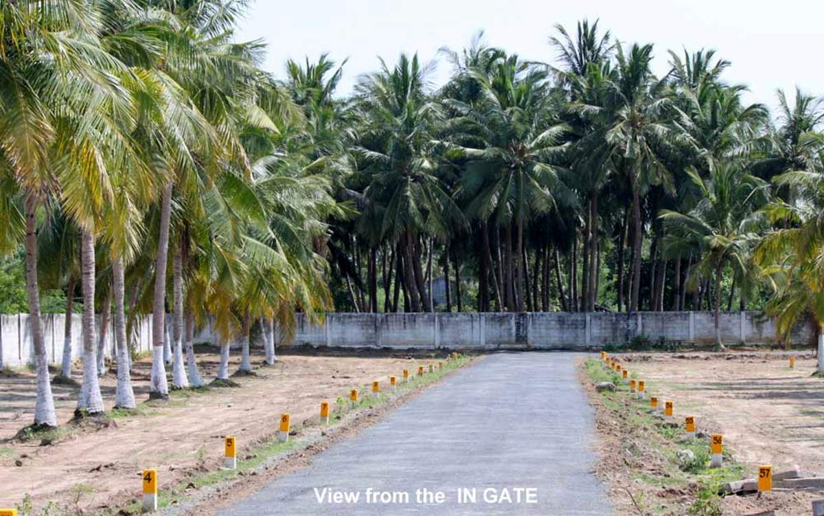 Images for Main Other of Green Peace Luxury Homes Panorama Park