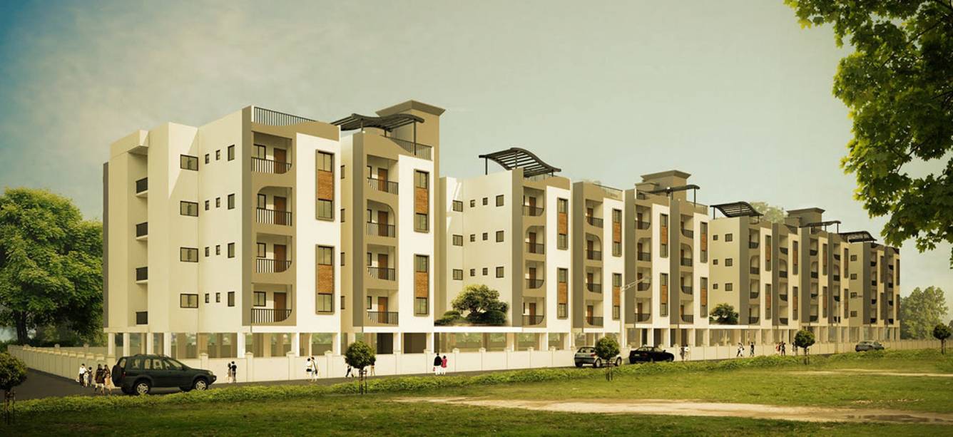  marigold Images for Elevation of Vakil Marigold