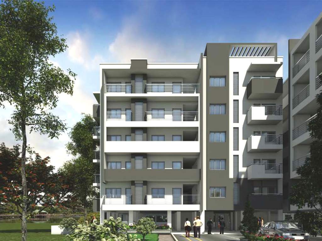 flora Images for Elevation of SLV Flora