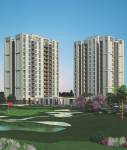 Images for Elevation of Silverglades Melia First Citizen
