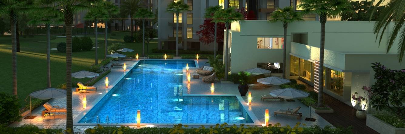 Images for Amenities of Silverglades Melia First Citizen