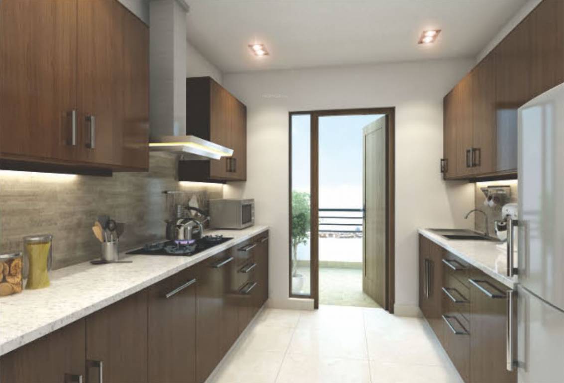 Images for Main Other of Silverglades Melia First Citizen