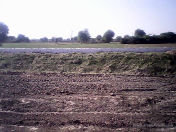 Images for Main Other of A square BM City