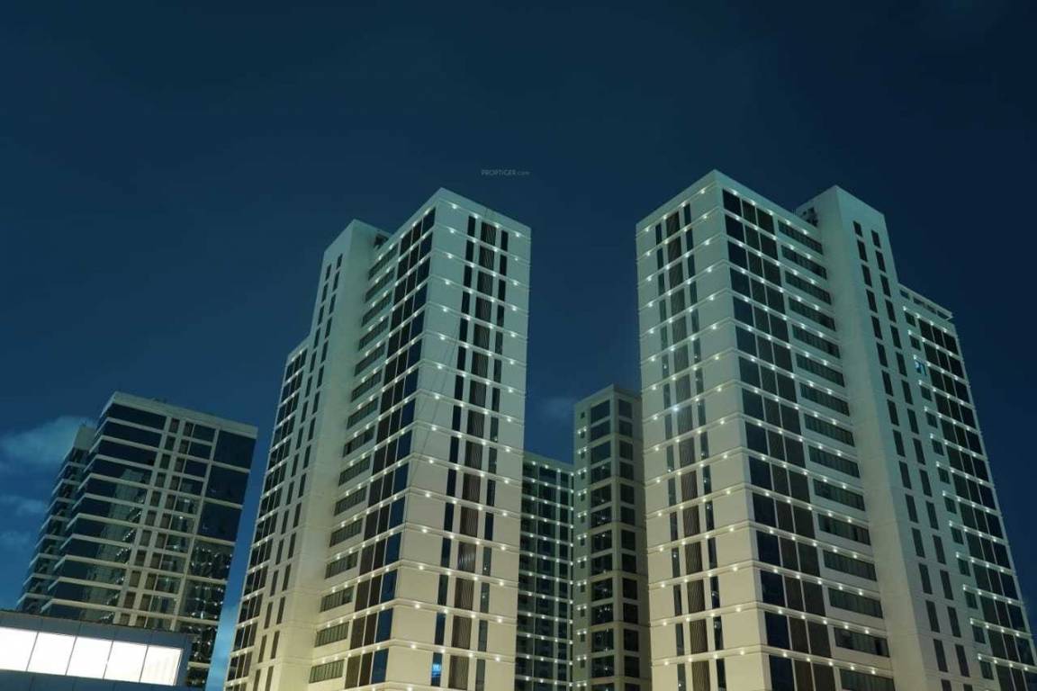  express exclusive Elevation