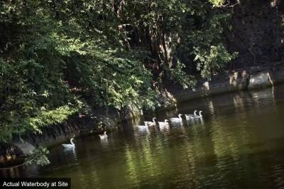 Elevation salsette-27 Elevation