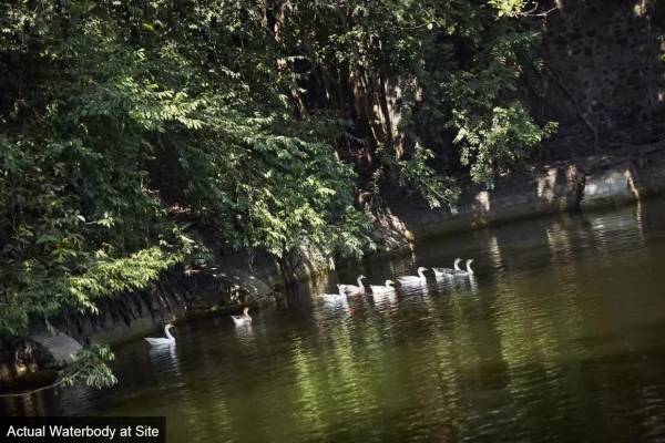 Elevation salsette-27 Elevation