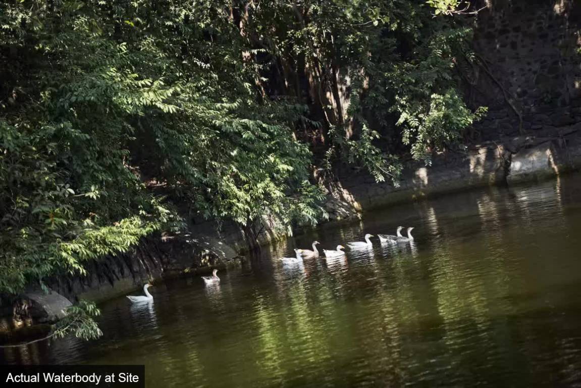  salsette 27 Elevation