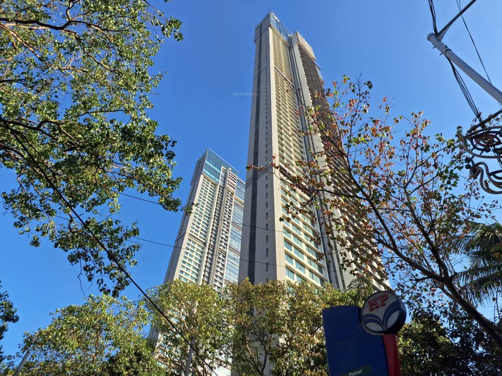  salsette 27 Elevation