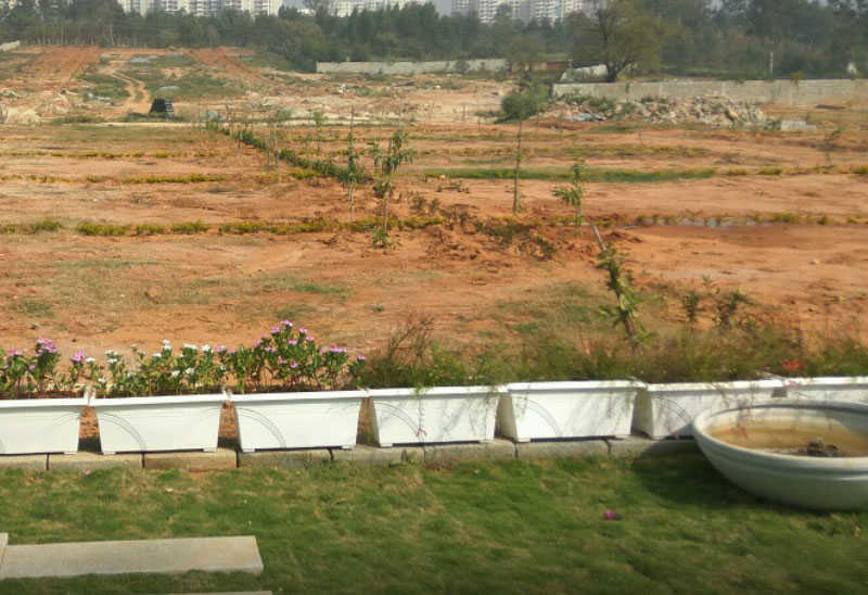  just green Elevation