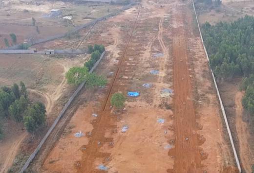 just-green Elevation Elevation