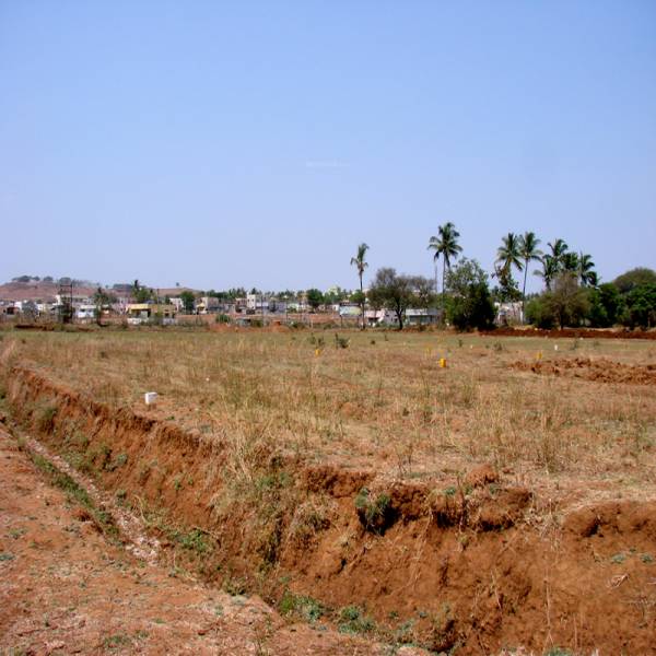 Images for Main Other of Midmac Langford Garden Images for Main Other of Midmac Langford Garden