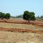 Images for Main Other of Midmac Langford Garden Images for Main Other of Midmac Langford Garden