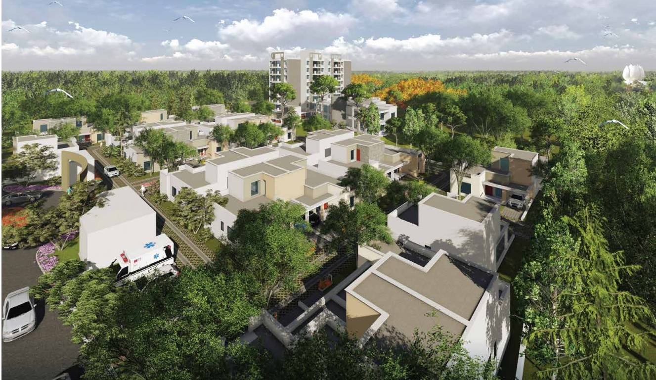 Images for Elevation of Promag Meadows