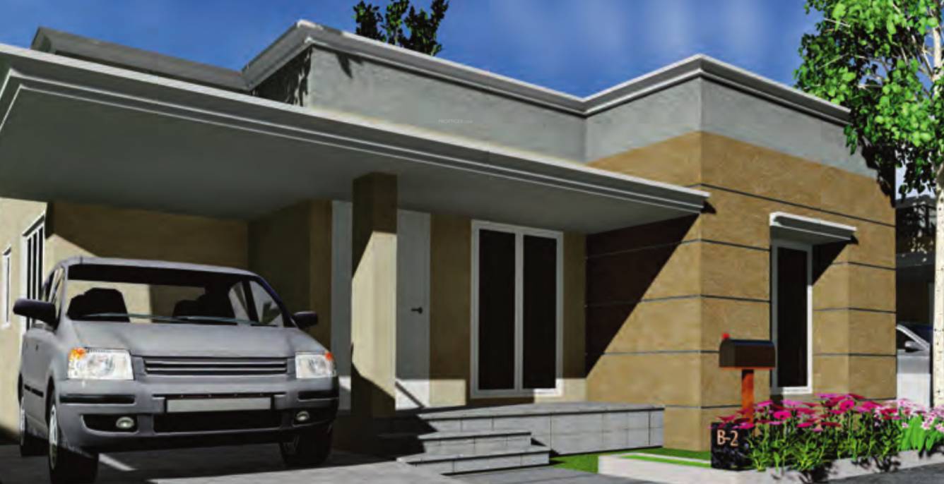 Images for Elevation of Promag Meadows