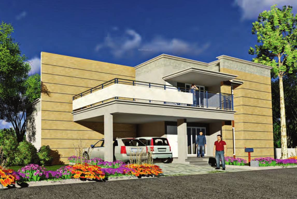 Images for Elevation of Promag Meadows