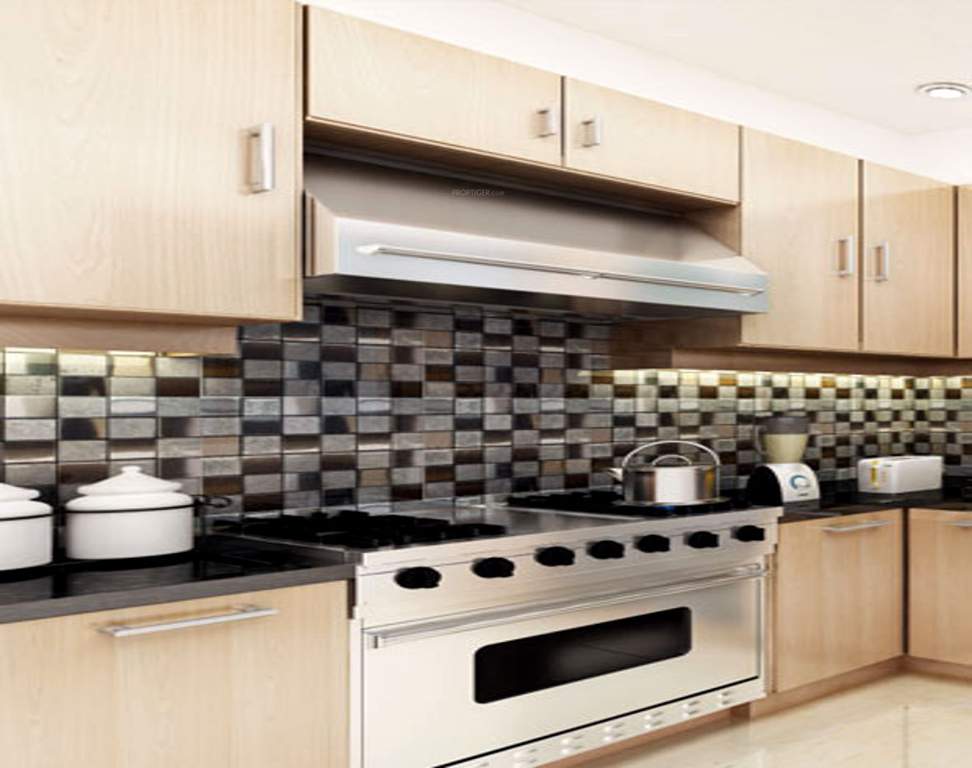 royal one Images for Main Other of NSG Royal One