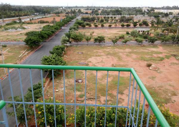 Images for Main Other of Flamingo Royal Splendor Images for Main Other of Flamingo Royal Splendor