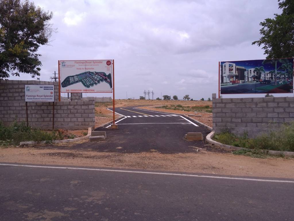 Images for Main Other of Flamingo Royal Splendor