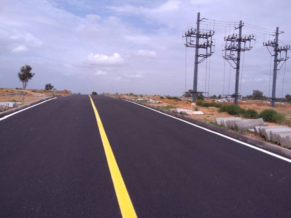 Images for Main Other of Flamingo Royal Splendor Images for Main Other of Flamingo Royal Splendor