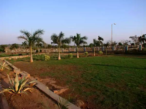 Elevation palm-meadows Elevation