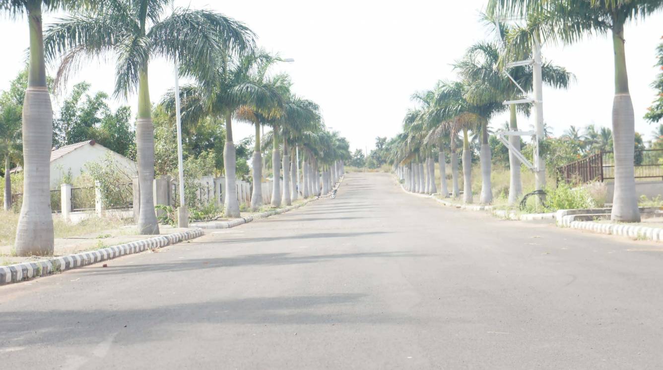 Images for Main Other of Midmac Palm Meadows