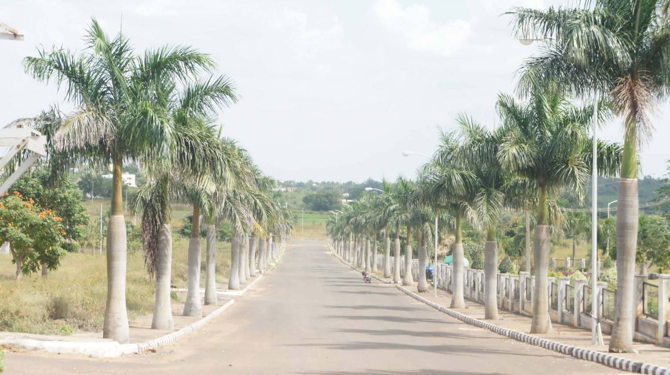 Images for Main Other of Midmac Palm Meadows