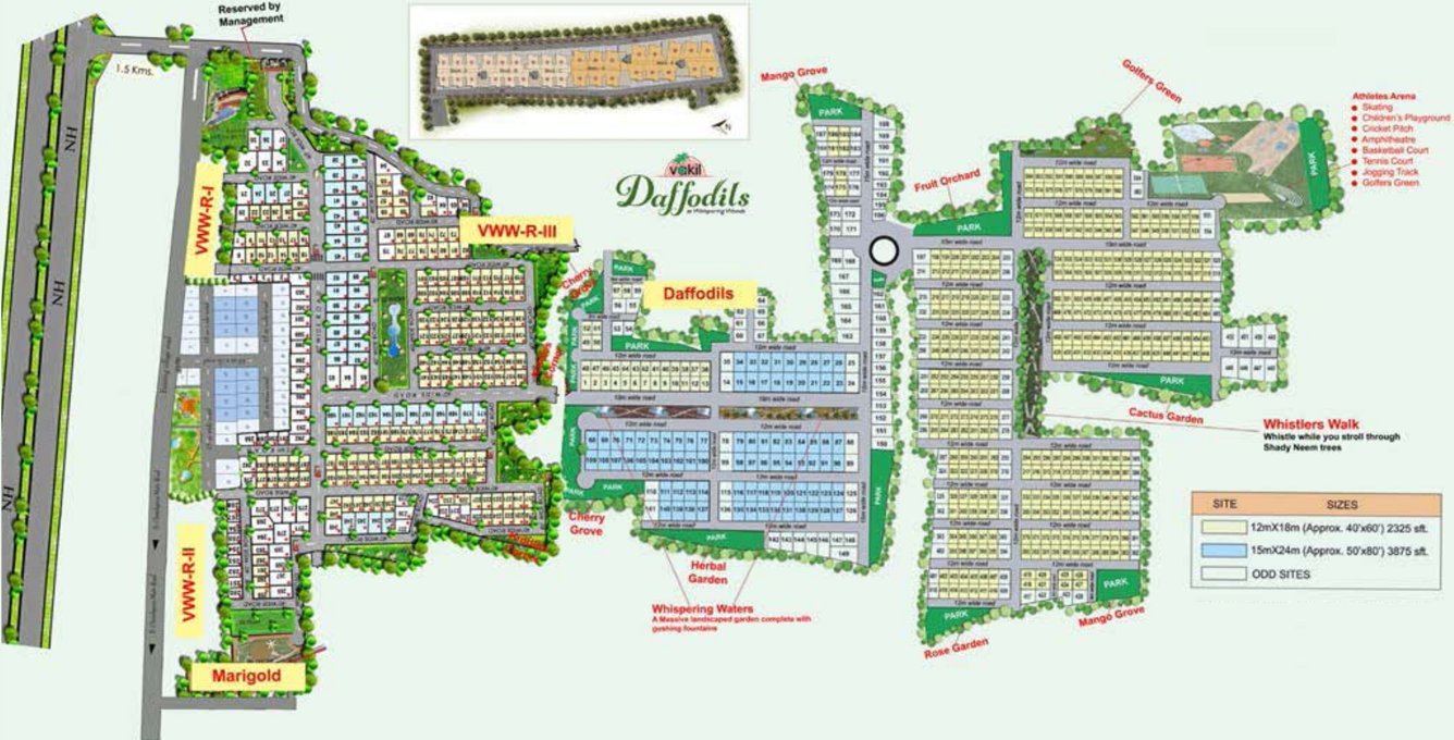  daffodils Images for Layout Plan of Vakil Daffodils
