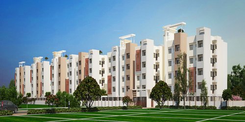 Images for Elevation of Vakil Daffodils daffodils Images for Elevation of Vakil Daffodils