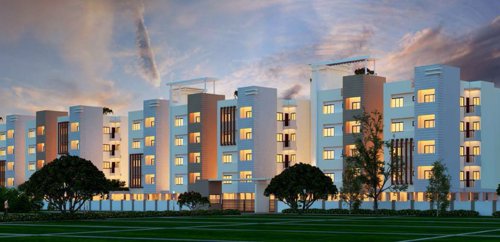 Images for Elevation of Vakil Daffodils daffodils Images for Elevation of Vakil Daffodils