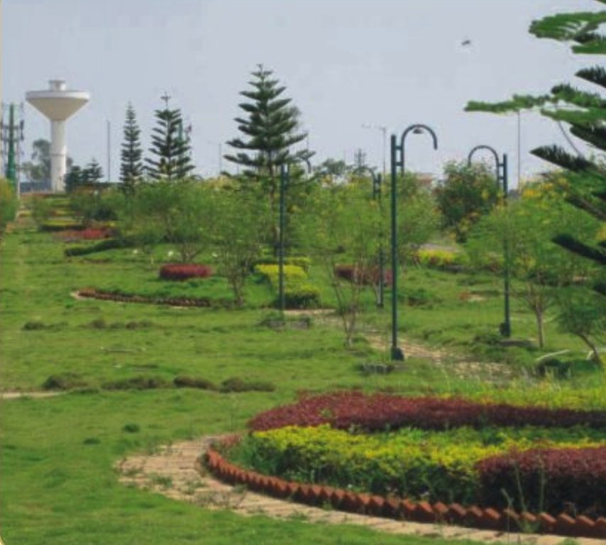  daffodils Images for Amenities of Vakil Daffodils