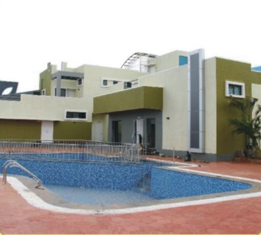  daffodils Images for Amenities of Vakil Daffodils