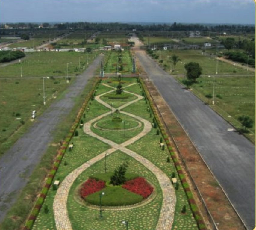  daffodils Images for Amenities of Vakil Daffodils