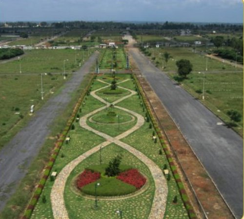 Images for Amenities of Vakil Daffodils daffodils Images for Amenities of Vakil Daffodils