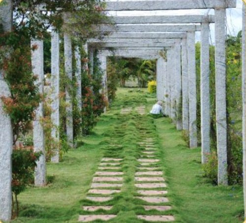 Images for Amenities of Vakil Daffodils daffodils Images for Amenities of Vakil Daffodils