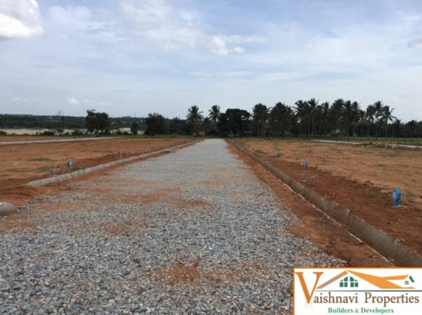 Images for Main Other of Vaishnavi NYSA Spring Fields