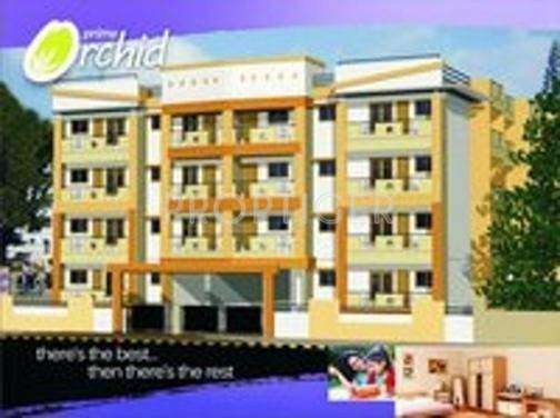 Images for Elevation of AR Prime Orchids