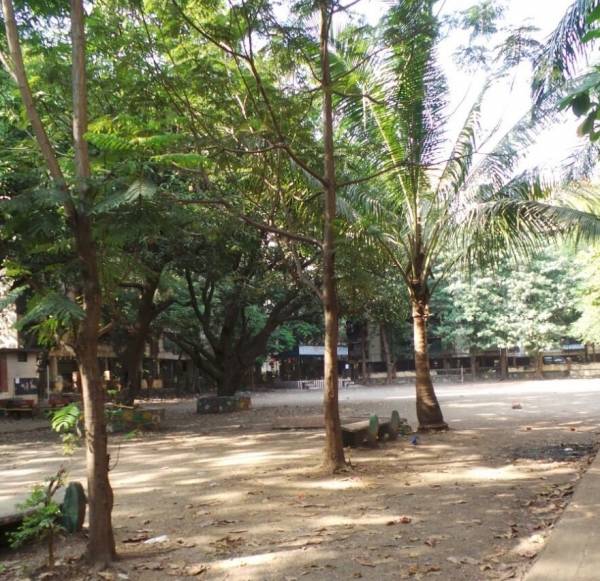  tulsidham-complex Landscaped Gardens