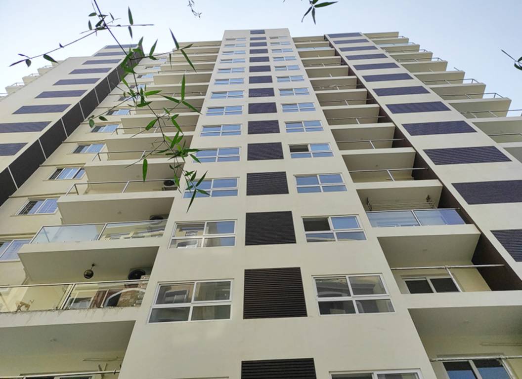 the address Elevation