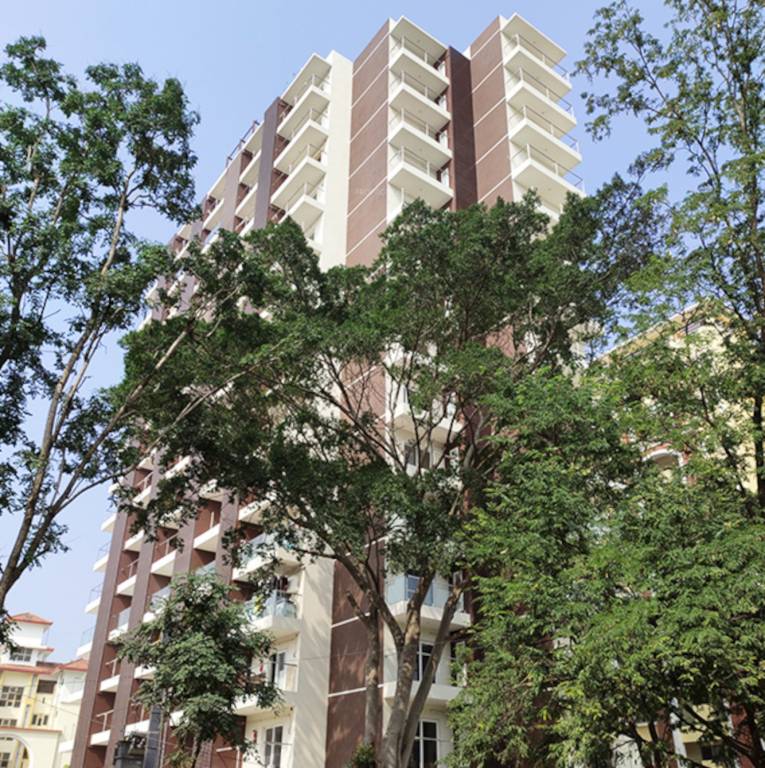 the address Elevation