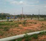 Main Other classic-meadows Main Other