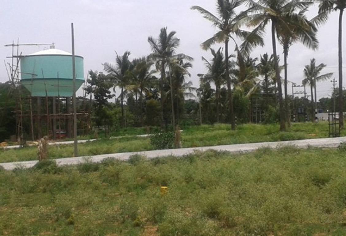  classic meadows Main Other