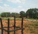 Main Other classic-meadows Main Other