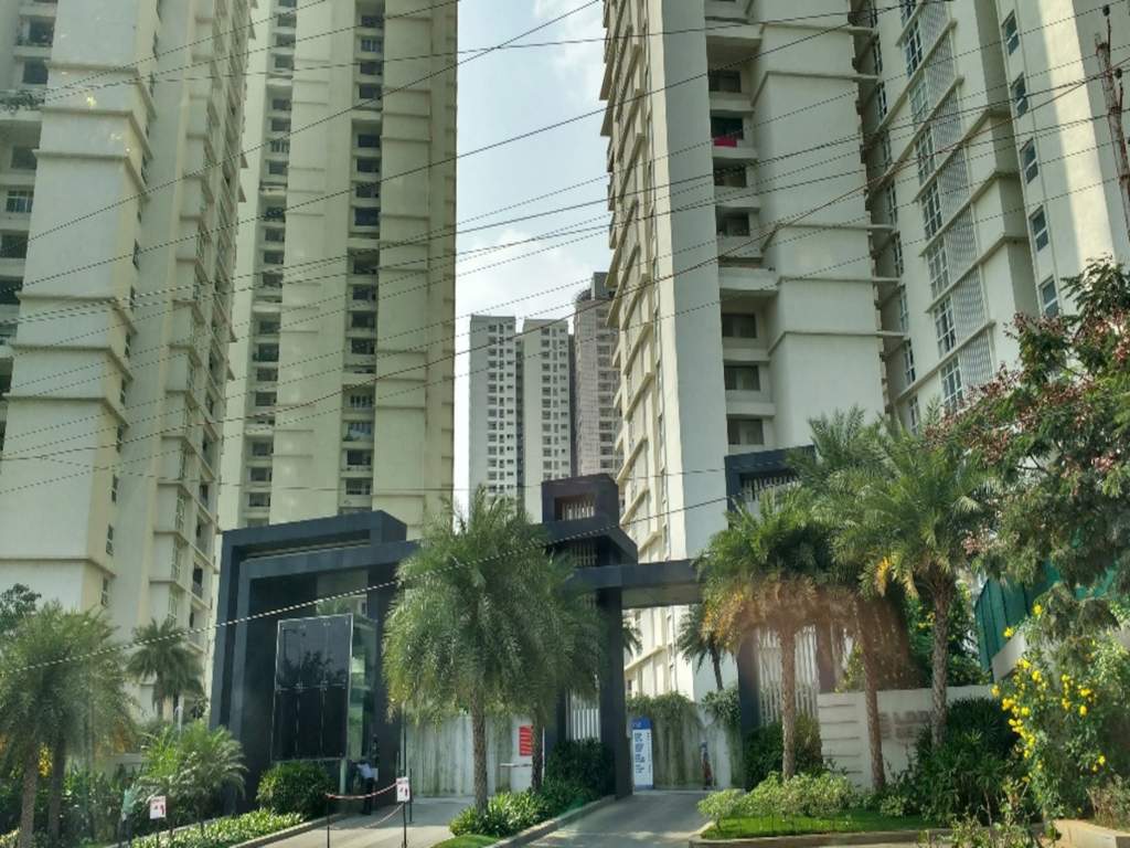  bellezza p3 Elevation