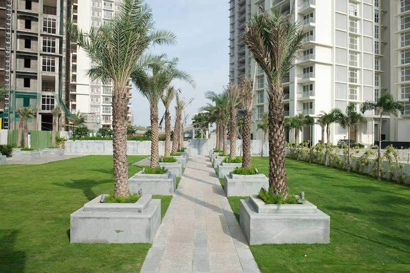  bellezza p3 Landscaped Gardens
