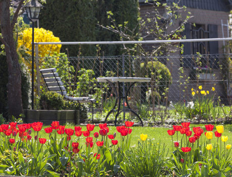 Images for Amenities of Mantra Insignia