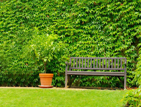 Images for Amenities of Mantra Insignia