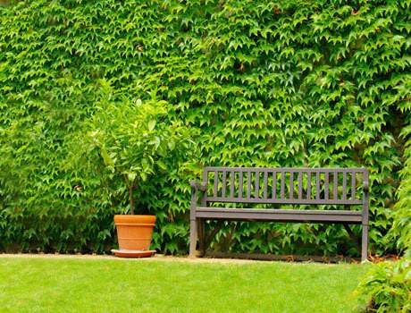 Images for Amenities of Mantra Insignia