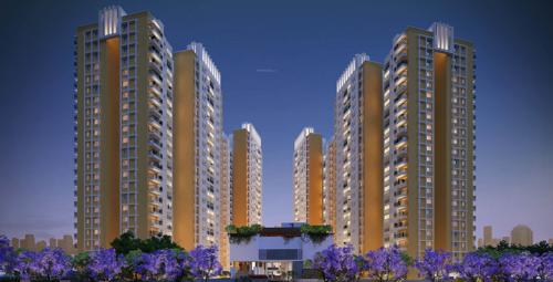  buena-vista Images for Elevation of Brigade Buena Vista